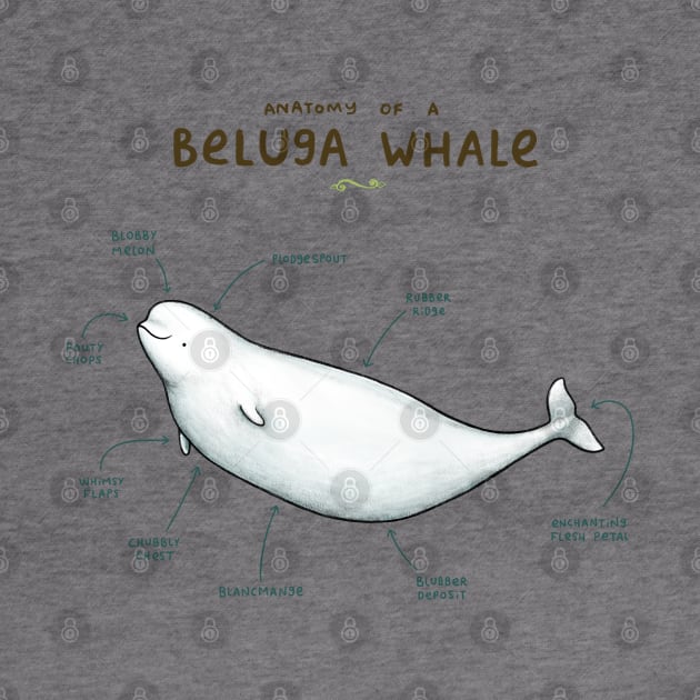 Anatomy of a Beluga Whale by Sophie Corrigan